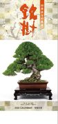 Calendrier-bonsaï 2023 (long)