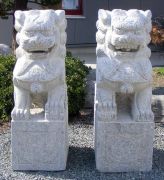 Granite Lions