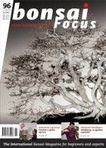 Bonsai-Focus 2009 (35), Jan/Feb. Bonsai-Focus 2009 (35), Jan/Feb.