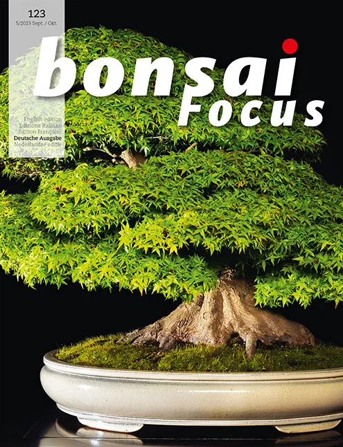 Bonsai-Focus 2023 (123), Sep/Okt. Bonsai-Focus 2023 (123), Sep/Okt.