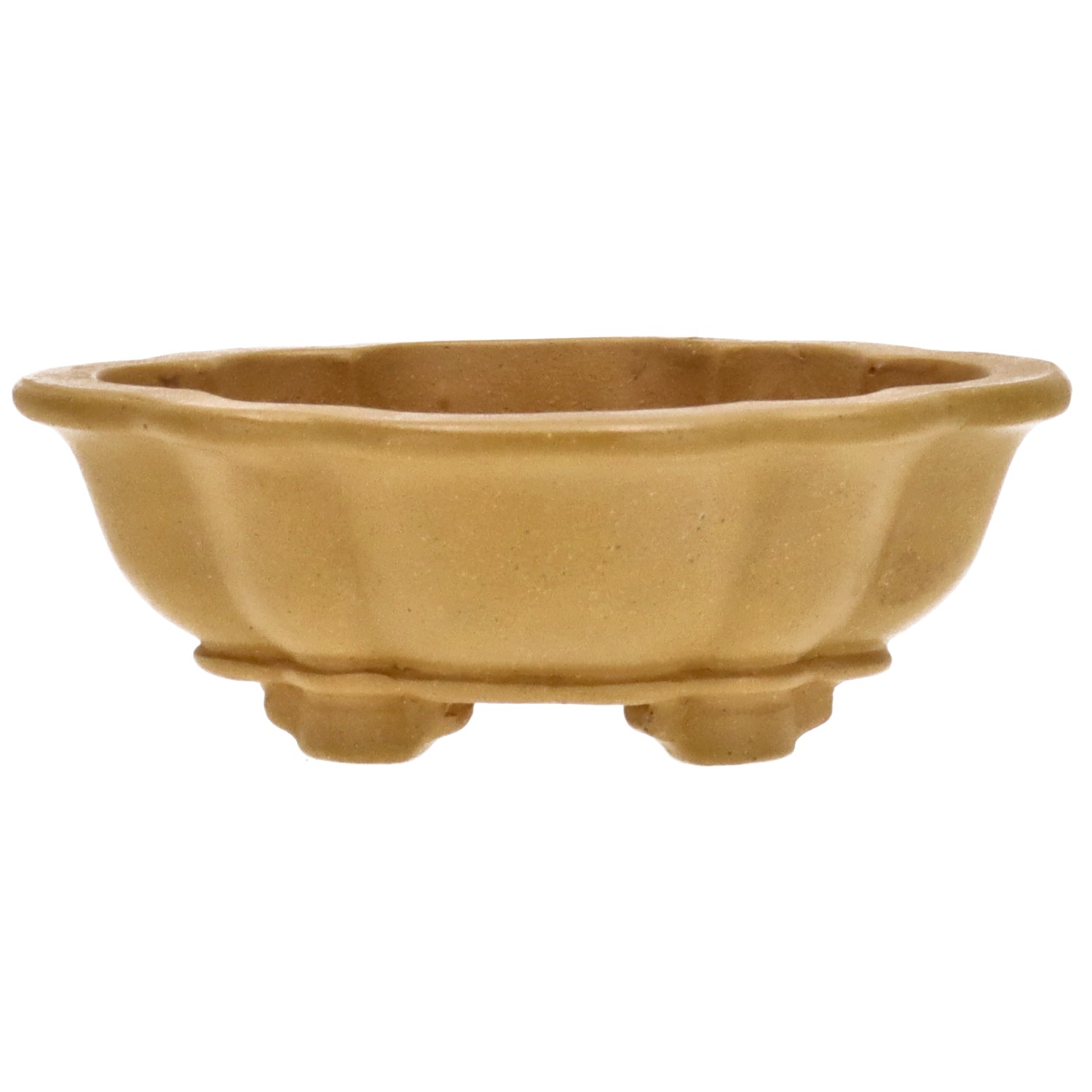 Pot