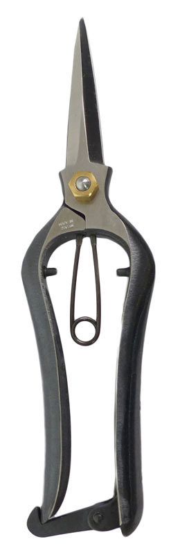 Stutzschere Diese Schere ist für den Schnitt an fast allen Gehölzen geeignet, da sie sich durch eine äußerst stabile Ausführung auszeichnet. Schneidet mühelos Äste bis zu ca. 5 mm. Der Federgriff ermöglicht ein entspanntes Arbeiten. Made in Japan.
Länge: 200 mm