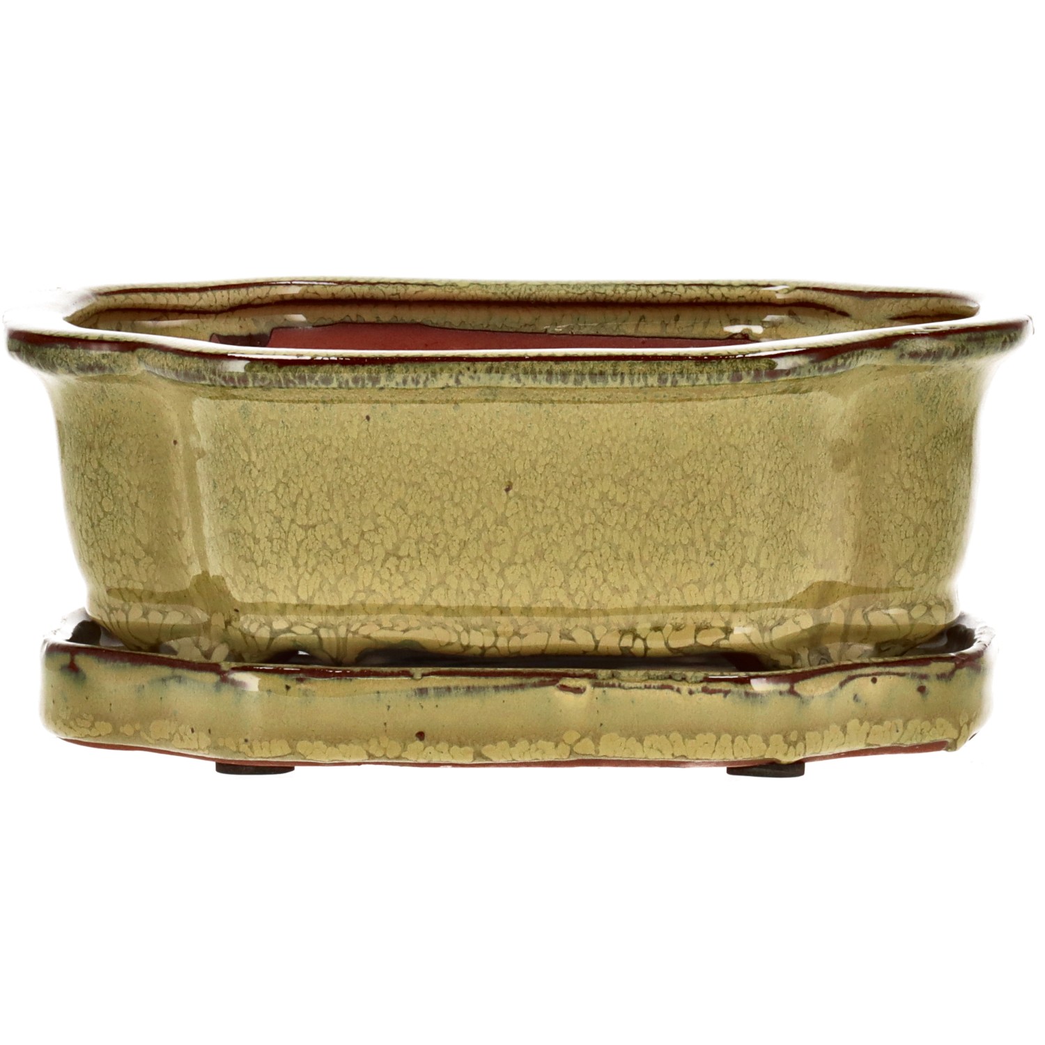 Pot à bonsaï (Set)