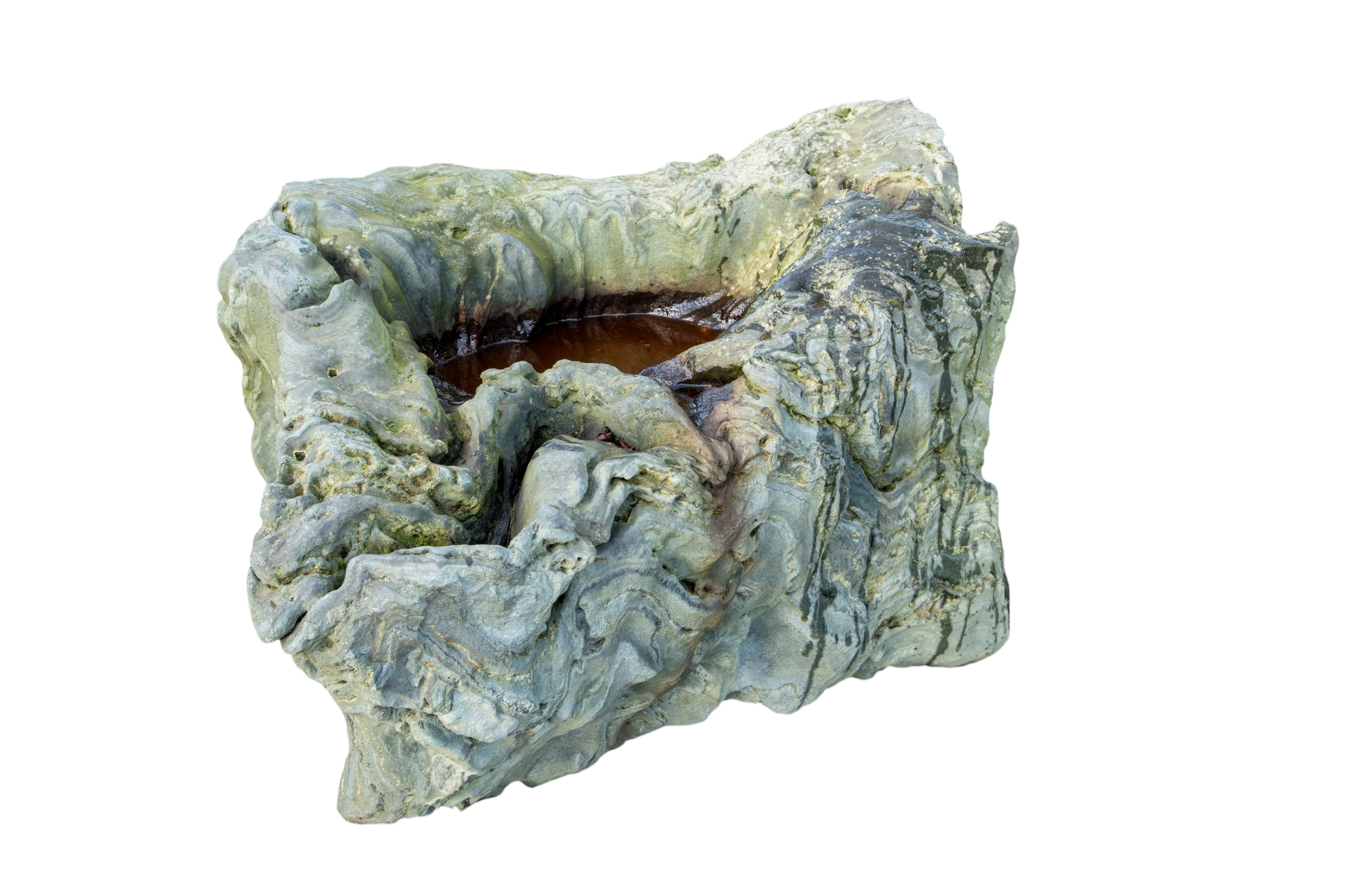 bonsai.fallbackImageTitle