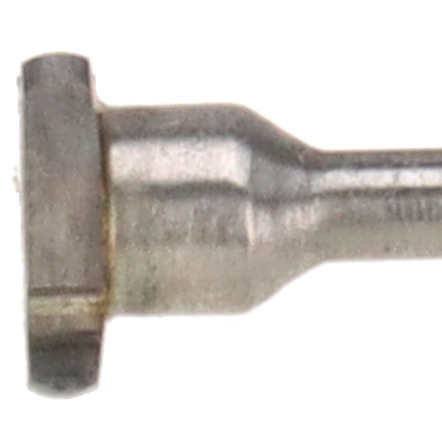 bonsai.fallbackImageTitle bonsai.fallbackImageTitle