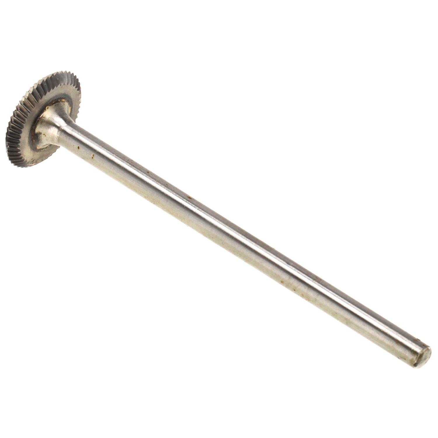 bonsai.fallbackImageTitle bonsai.fallbackImageTitle