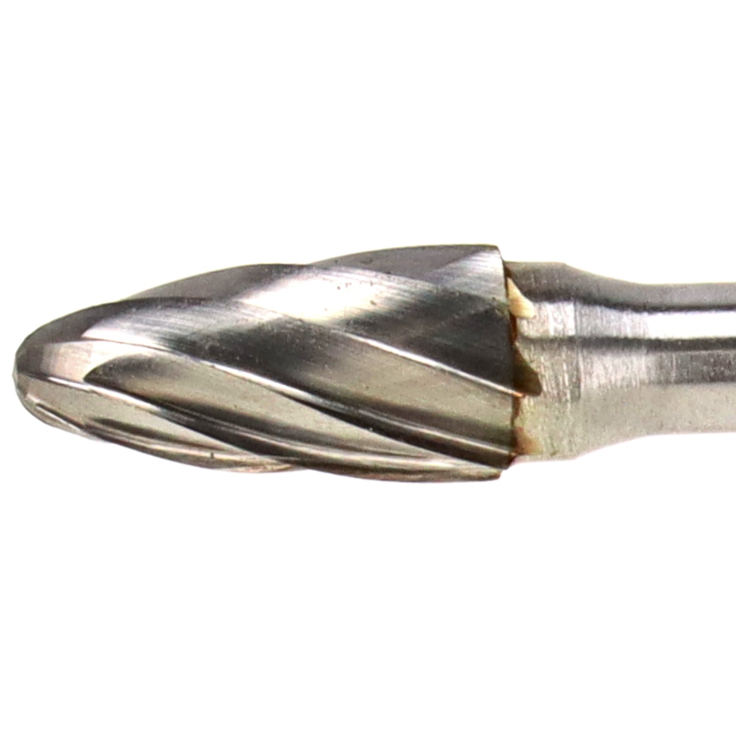 bonsai.fallbackImageTitle bonsai.fallbackImageTitle