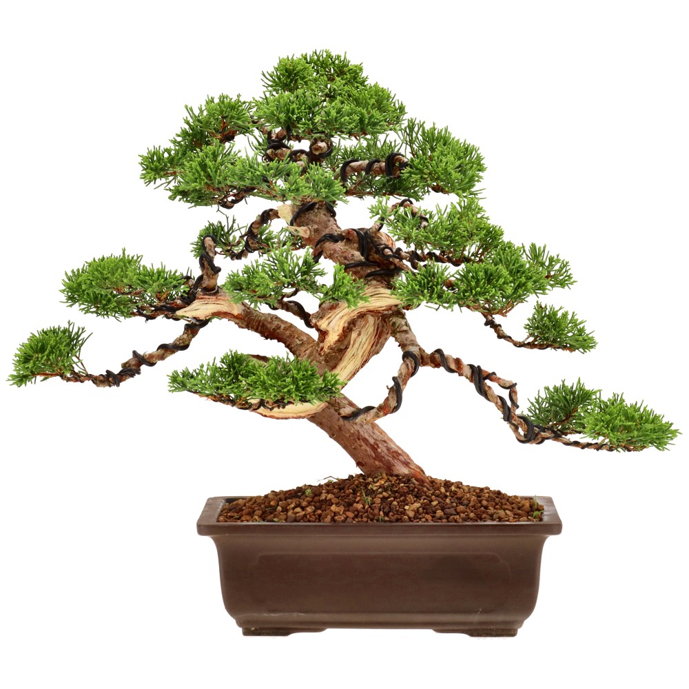 Slider Bild Slider Bild