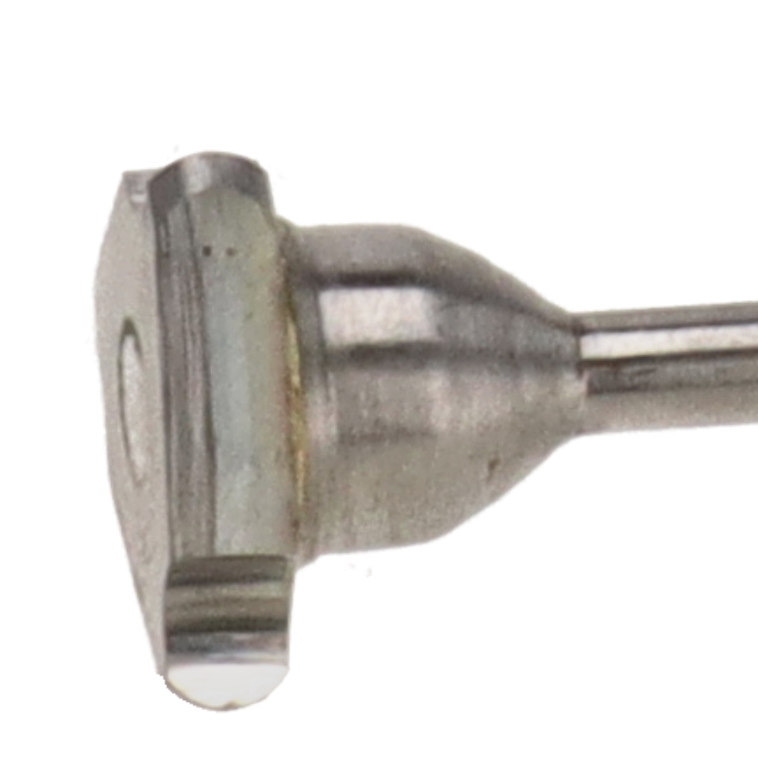 bonsai.fallbackImageTitle bonsai.fallbackImageTitle