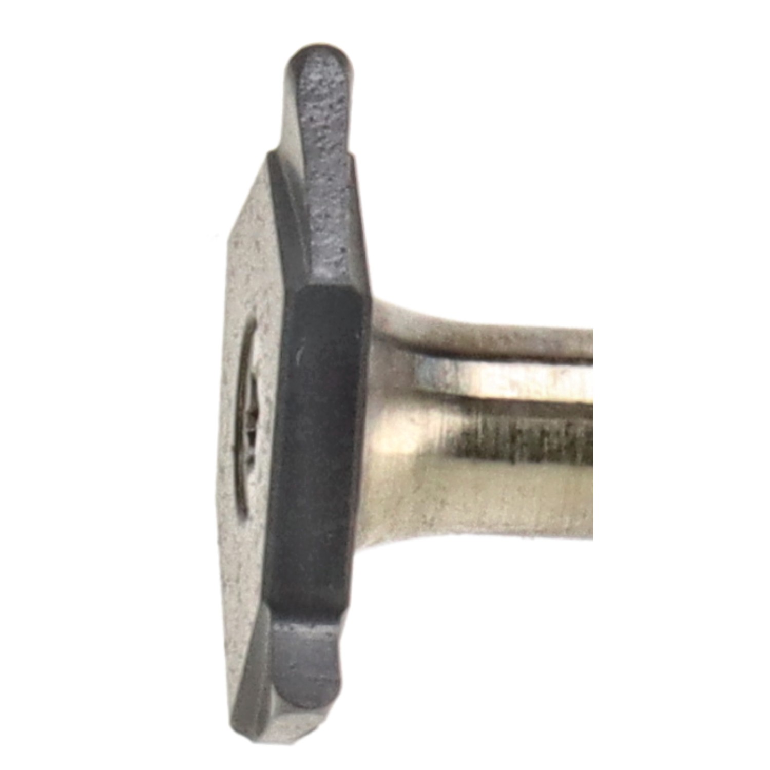 bonsai.fallbackImageTitle bonsai.fallbackImageTitle