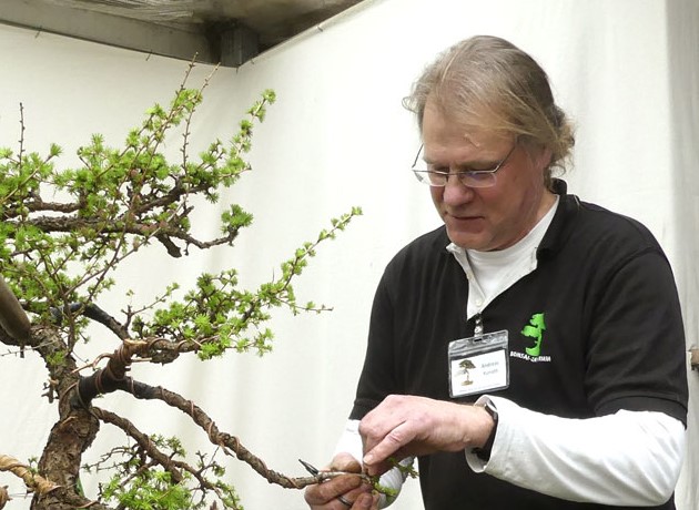 Bonsai-Schule Klasse 3 (2024-2) III. Kurs