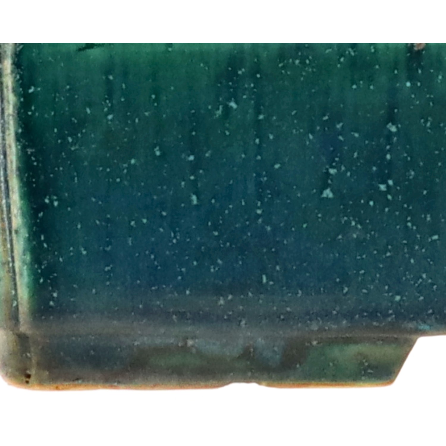 bonsai.fallbackImageTitle