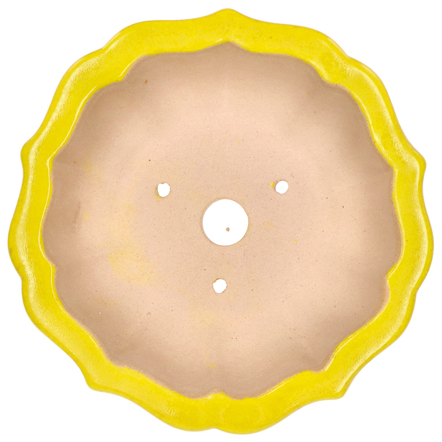 Pot