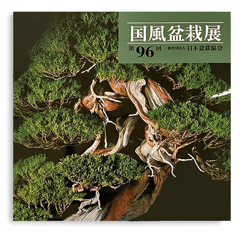Kokufu-Bildband Nr. 96 Ein begehrtes Sammlerstück: Das 96. Jahrbuch (2022) von der alljährlich in Japan stattfindenden bedeutendsten Bonsai-Austellung. Auf über 320 Seiten zeigen hochauflösende Farbfotos wunderschöne, prämierte Bonsai.
Hochwertiger Bildband als Hardcover im Sc