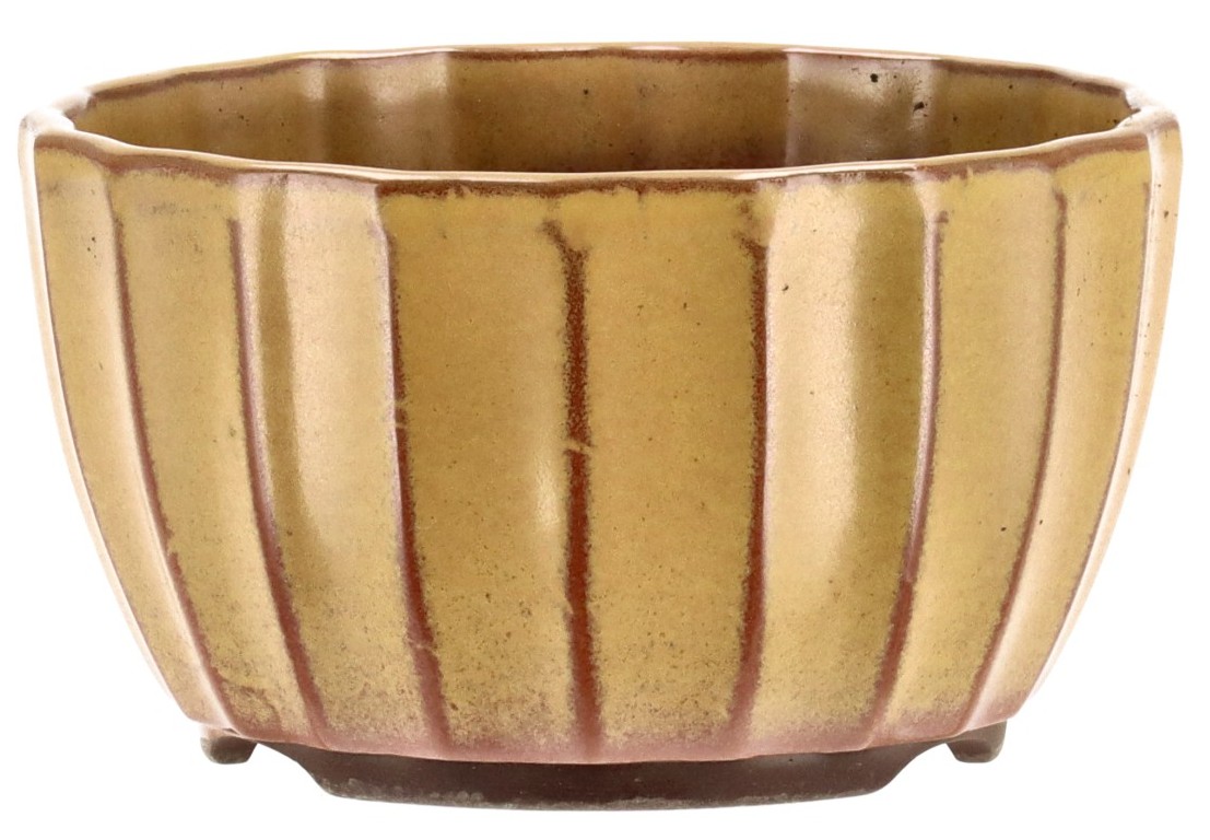 Vaso