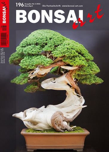 BONSAI ART 2026 (196), Mär/Apr.