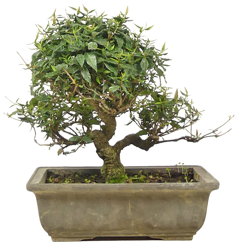 Slider Bild Slider Bild