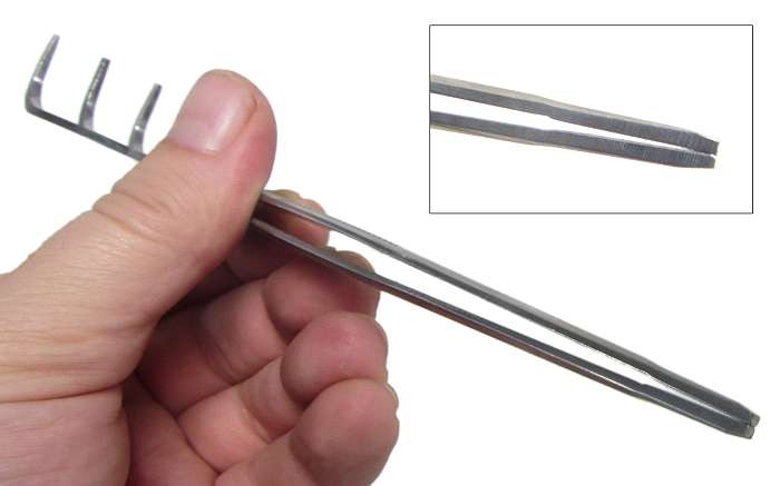 bonsai.fallbackImageTitle bonsai.fallbackImageTitle