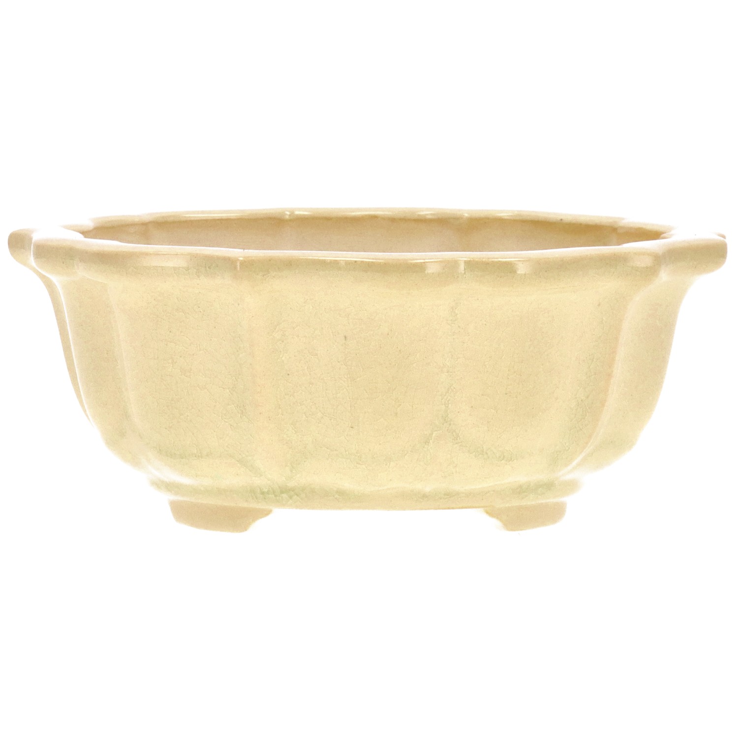 Pot