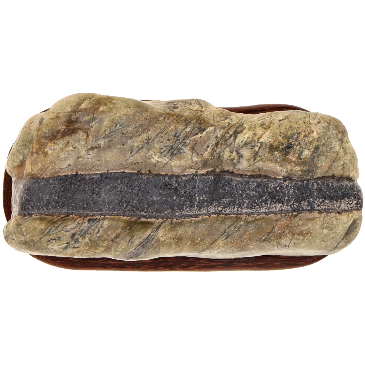 bonsai.fallbackImageTitle