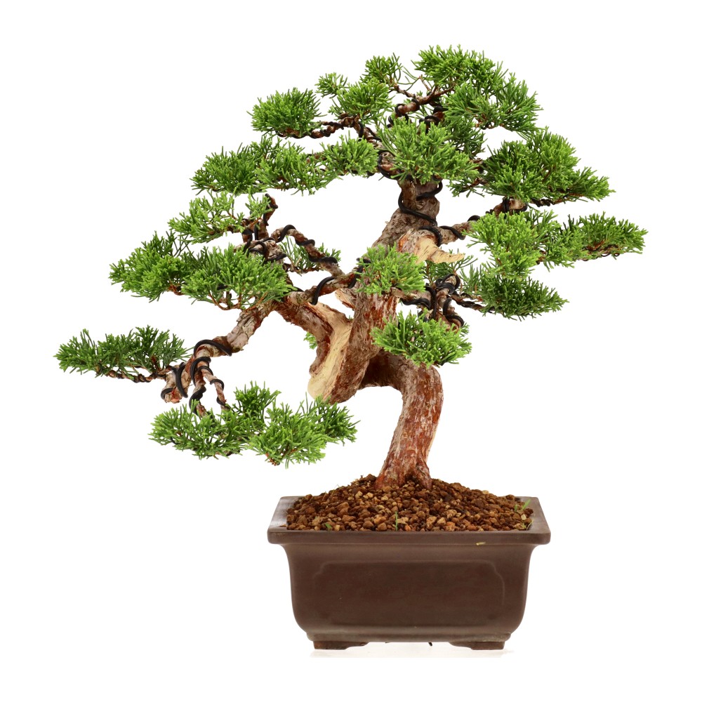 Slider Bild Slider Bild