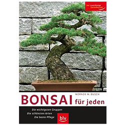 Freilandbonsai