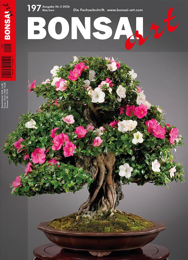 BONSAI ART 2026 (197), Mai/Jun.