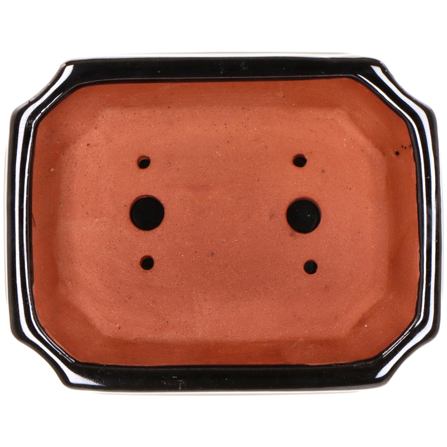 Vaso per bonsai (Set)