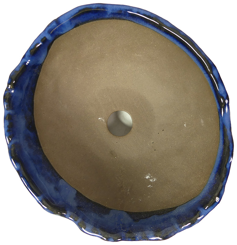 Slider Bild Slider Bild