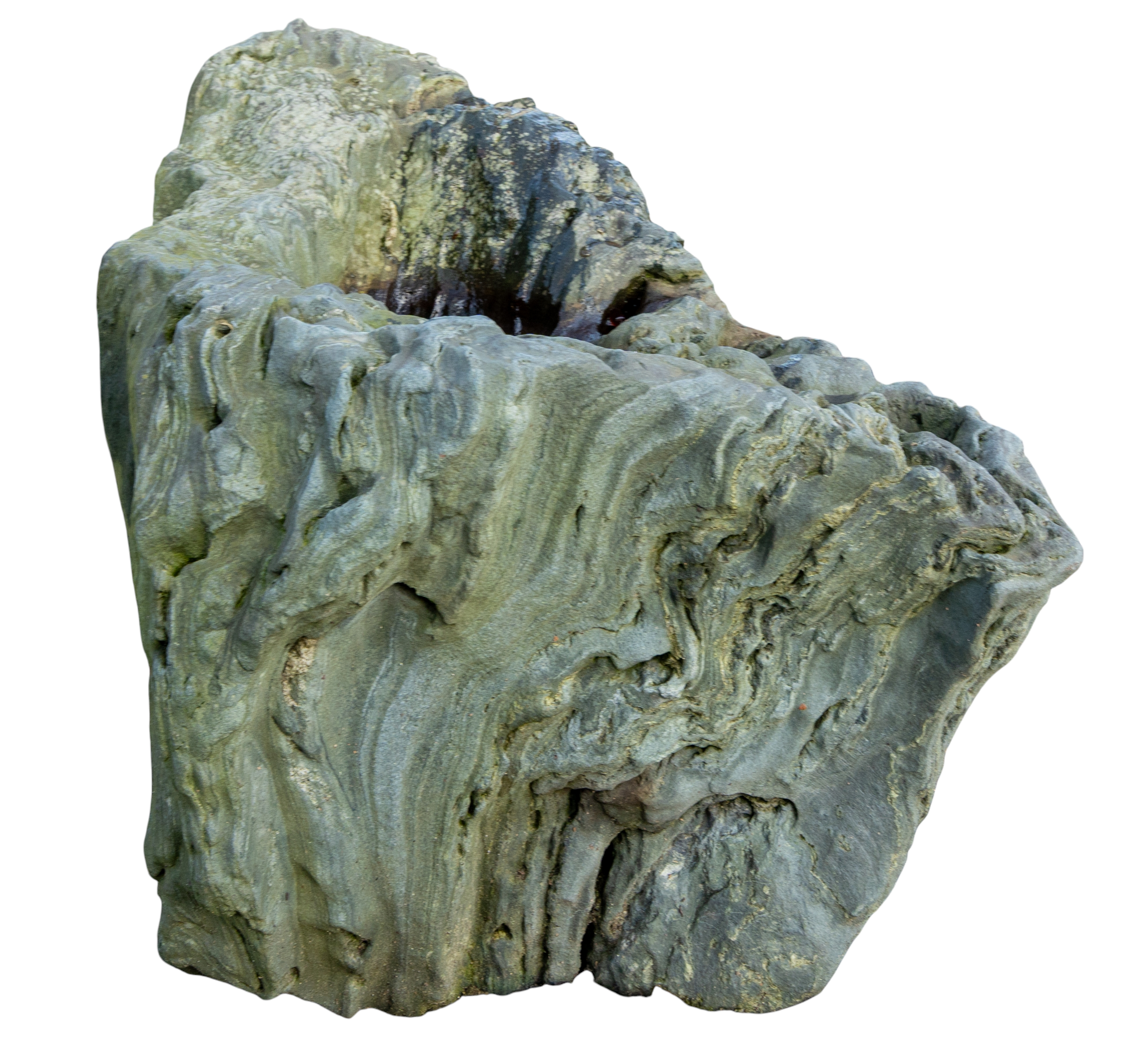 bonsai.fallbackImageTitle