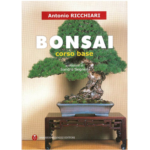 Italienische Bücher Italienische Bücher
