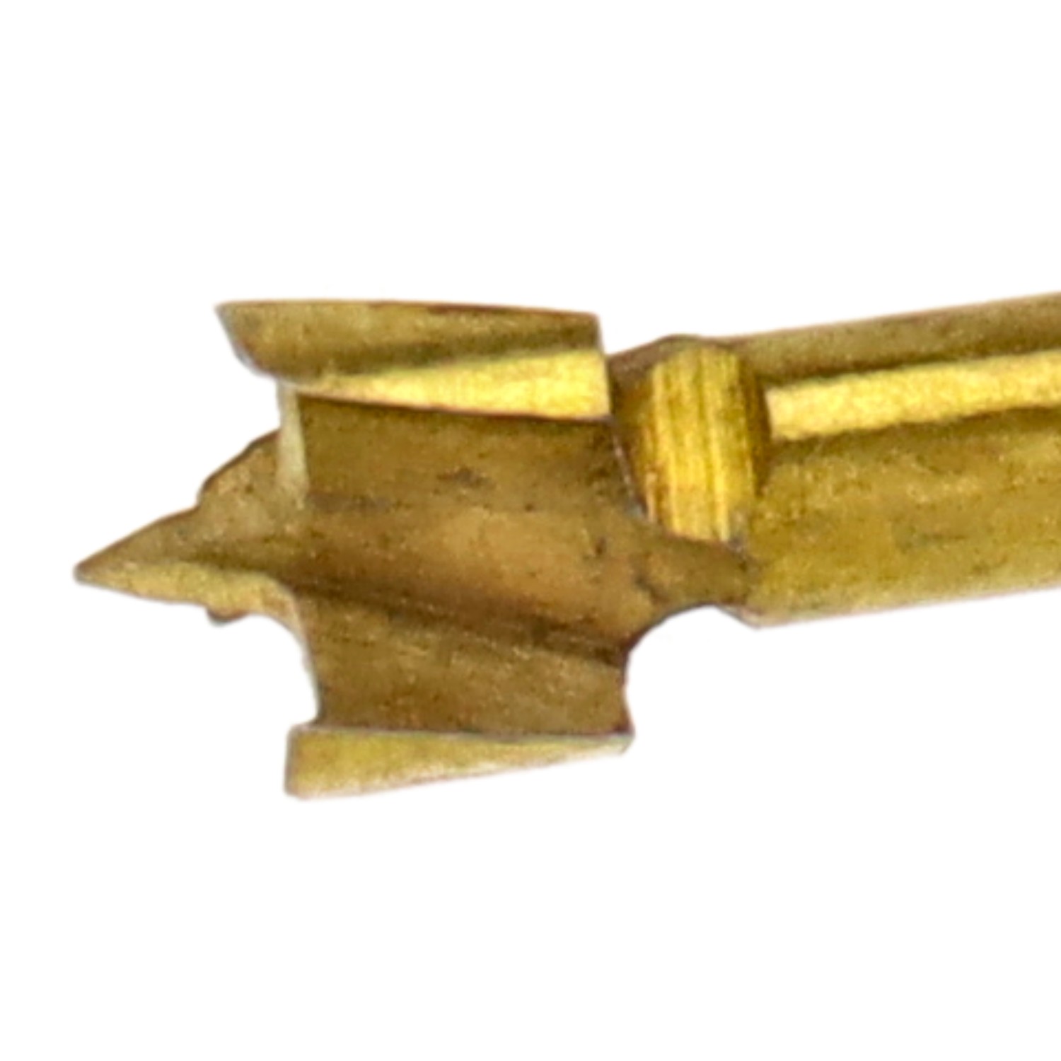 bonsai.fallbackImageTitle bonsai.fallbackImageTitle