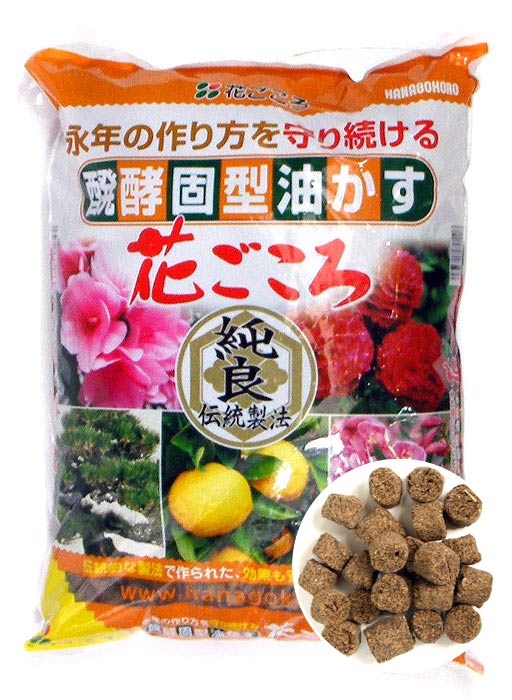 N: 4 - P: 5 - K: 1
 
Dieser organische Langzeitdünger aus Japan für alle Nadelbäume, Laubgehölze und Azaleen zählt zu den beliebtesten Produkten seiner Art in Japan.
 
- Langzeitwirkung von bis zu 2 Monaten 
- Stärkt die Vitalität der Pflanze
- Einfach zu
