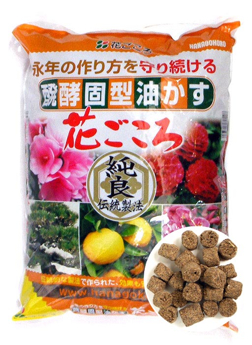 Hanagokoro Dünger Mittel N: 4 - P: 5 - K: 1
 
Dieser organische Langzeitdünger aus Japan für alle Nadelbäume, Laubgehölze und Azaleen zählt zu den beliebtesten Produkten seiner Art in Japan.
 
- Langzeitwirkung von bis zu 2 Monaten 
- Stärkt die Vitalität der Pflanze
- Einfach zu