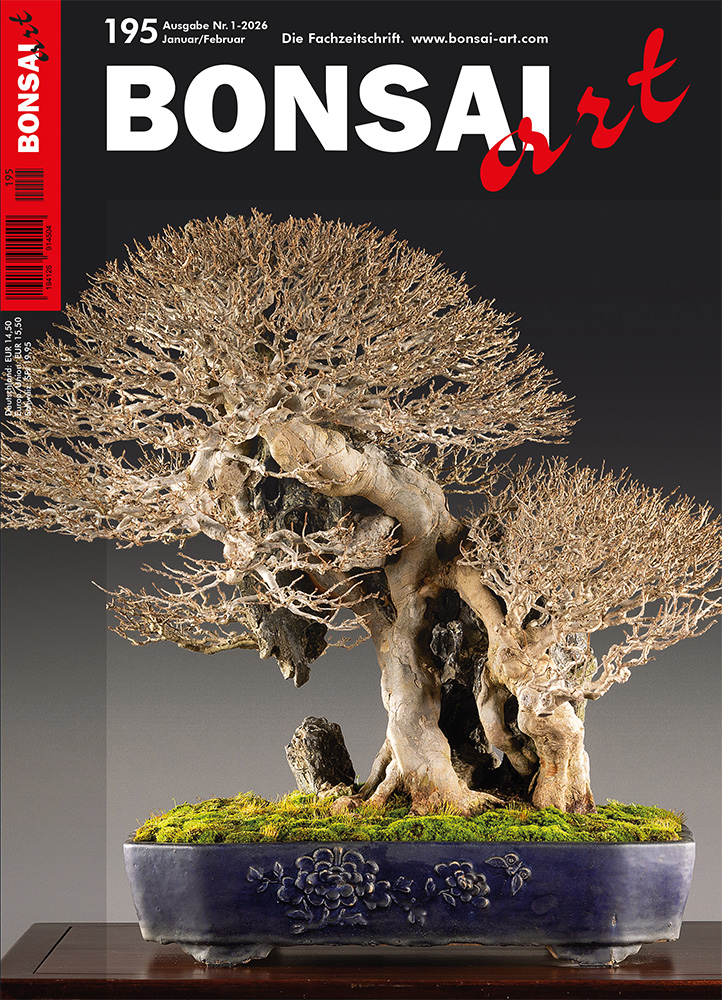 BONSAI ART 2026 (195), Jan/Feb.