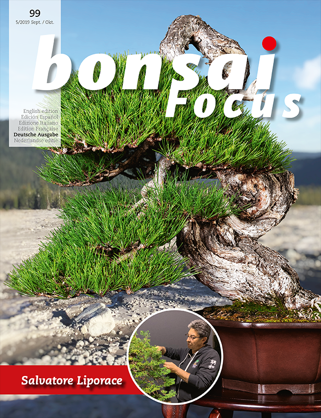 Bonsai-Focus 2019 (99), Sep/Okt. Bonsai-Focus 2019 (99), Sep/Okt.