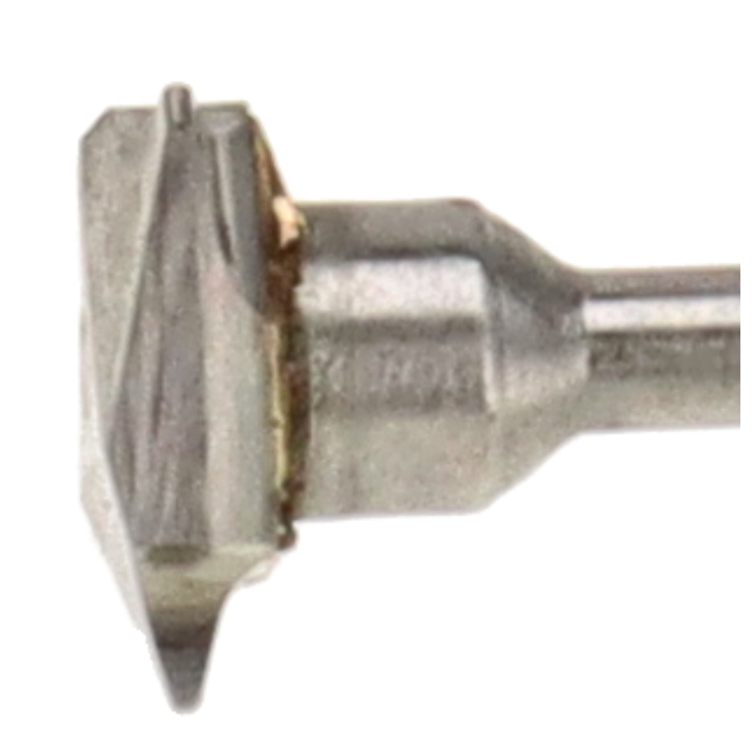 bonsai.fallbackImageTitle bonsai.fallbackImageTitle