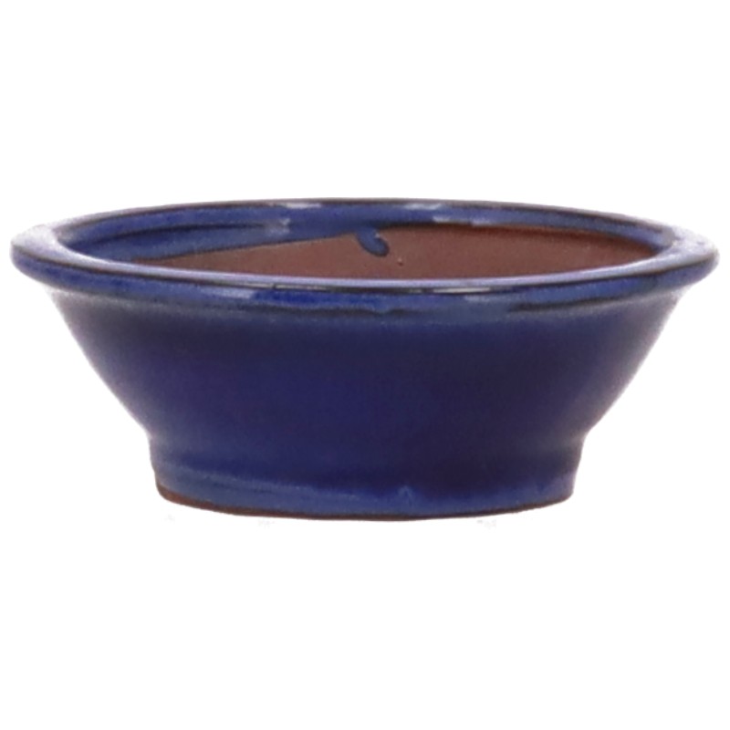 Bonsaischale aus der Töpferei HATIYO , aus dem für seine Keramik-Produkte weltberühmten Ort Tokoname.
Die traditionsreichen Töpfereien in Tokoname stellen schon seit Jahrhunderten Schalen für Bonsai her und werden besonders für ihre überragende Ausführung