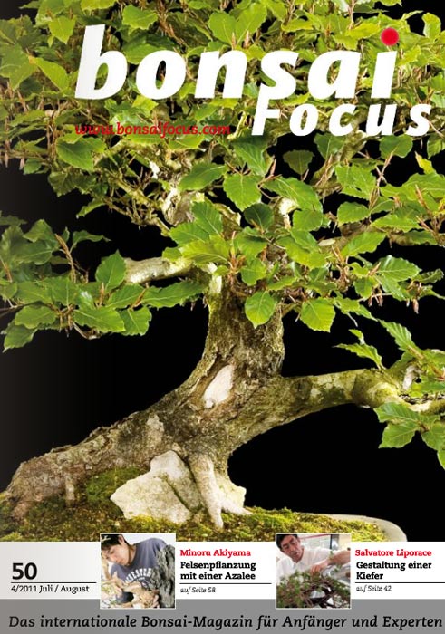 Bonsai-Focus 2011 (50), Jul/Aug. Bonsai-Focus 2011 (50), Jul/Aug.