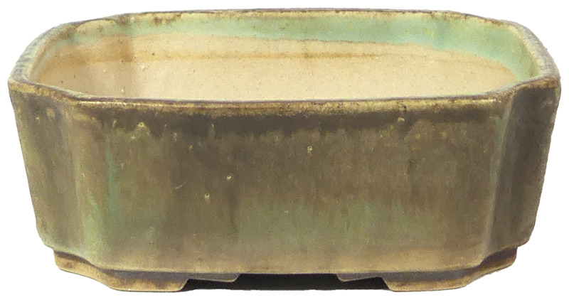 Handgemachte Bonsaischale aus Tschechien.