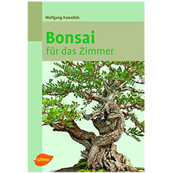 Zimmerbonsai Zimmerbonsai
