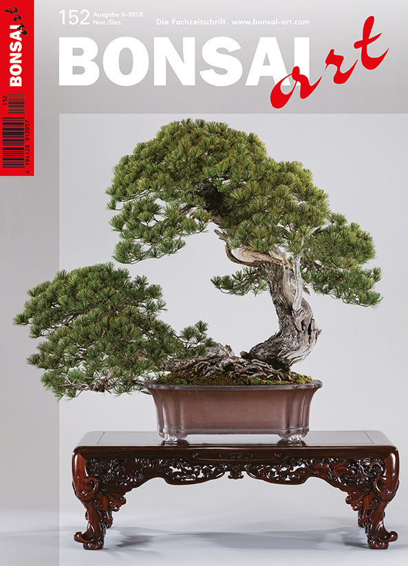 GALERIE
Die 91. Kokufu-ten – Teil 2
PORTRAIT
Yusuke Hamamoto – ein Bonsai-Künstler geht seinen Weg
 
ROT-KIEFER
Masahiko Kimura – Lernen vom Profi: Bunjin mit Sinn – Die Gestaltung einer Rot-Kiefer in Literatenform 
 
MÄDCHEN-KIEFER
• Die Prinzessin unter