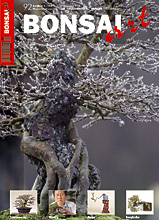 BONSAI ART 2008 (92), Nov/Dez. BONSAI ART 2008 (92), Nov/Dez.