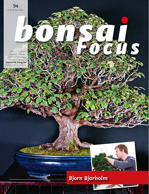 Bonsai-Focus 2018 (94), Nov/Dez. Bonsai-Focus 2018 (94), Nov/Dez.