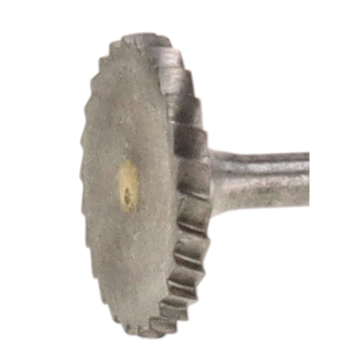 bonsai.fallbackImageTitle bonsai.fallbackImageTitle