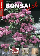 BONSAI ART 2008 (89), Mai/Juni BONSAI ART 2008 (89), Mai/Juni