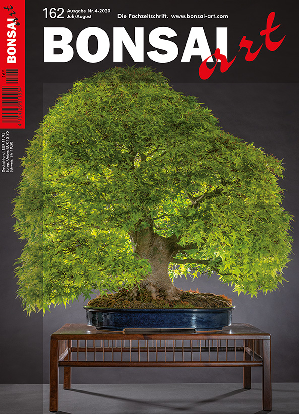 BONSAI ART 162 Juli/August 2020 TITELTHEMA: Durch den Sommer mit guter Bewässerung 
Der imposante Fächer-Ahorn, der sich im frisch grünen Sommerlaub auf unserem Titelbild präsentiert, erhielt auf der Trophy 2020 im belgischen Genk den BONSAI ART Award. Lesen Sie in diesem Heft die inte