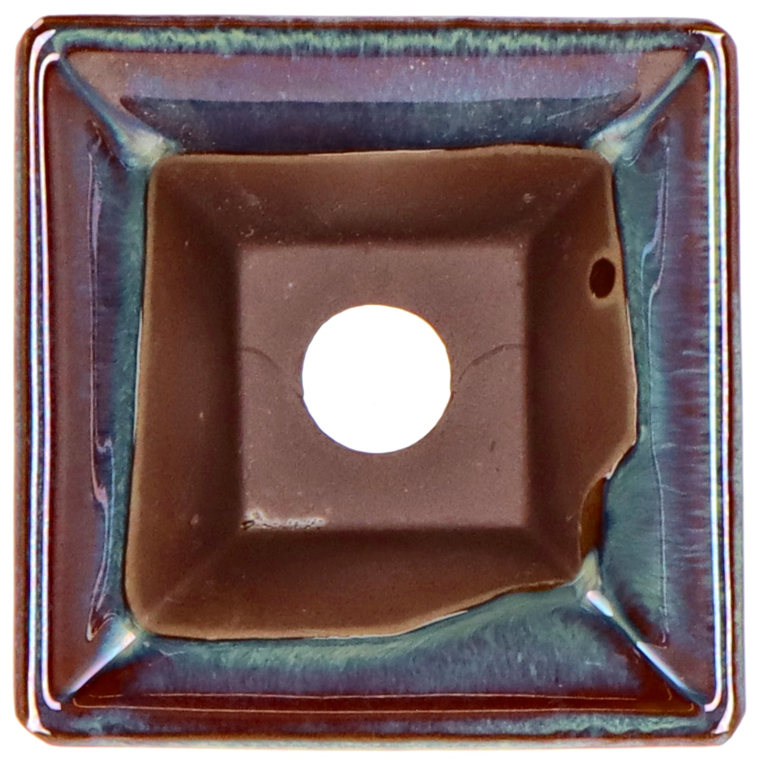 bonsai.fallbackImageTitle