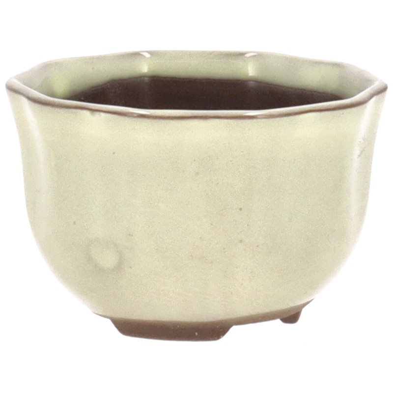Kleine Schale für Mame- oder Shohin-Bonsai. Ebenfalls passend für Beistellpflanzen (Kusamono oder Shitakusa).