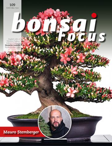 Bonsai-Focus 109 Mai/Juni 2021 Bonsai-Focus 2021 (109), Mai/Juni